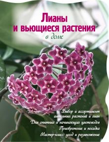 Лианы и вьющиеся растения в доме (Вырубка. Цветы в саду и на окне)