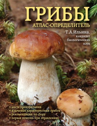 Грибы. Атлас-определитель Грибы. Атлас-определитель Ильина Т.А.