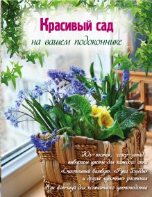 Красивый сад на вашем подоконнике