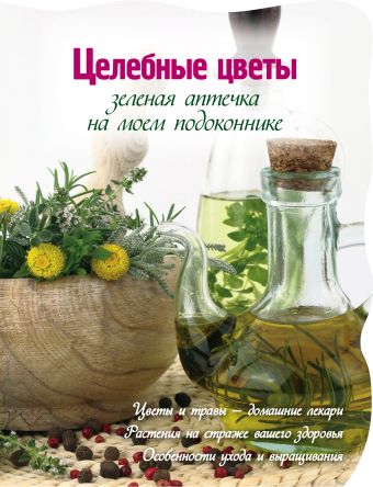 Зеленая аптека на моем подоконнике (Вырубка. Цветы в саду и на окне) Зеленая аптека на моем подоконнике (Вырубка. Цветы в саду и на окне) Васильев М.
