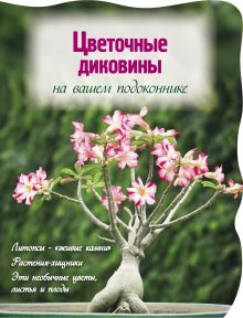 Цветочные диковины на вашем подоконнике (Вырубка. Цветы в саду и на окне)