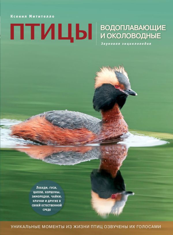 

Птицы. Водоплавающие и околоводные (с музыкальным модулем) [утка] (Подарочные издания. Энциклопедии животных)