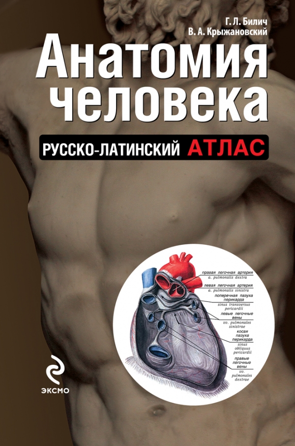 

Анатомия человека: русско-латинский атлас