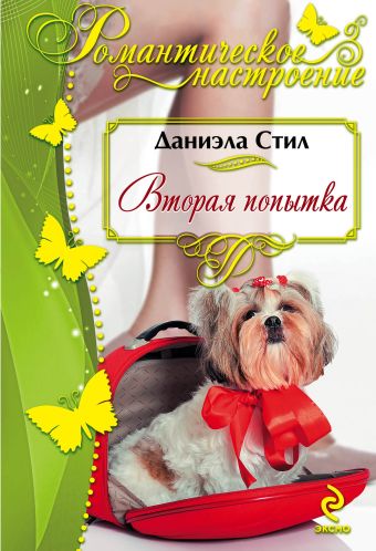 Вторая попытка Вторая попытка Стил Д.