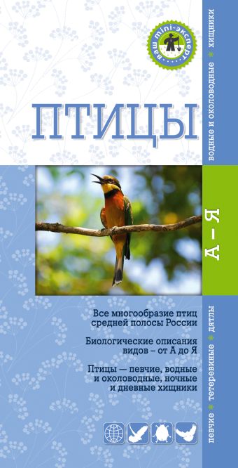 Птицы. Краткий карманный определитель Птицы. Краткий карманный определитель Митителло К.Б.