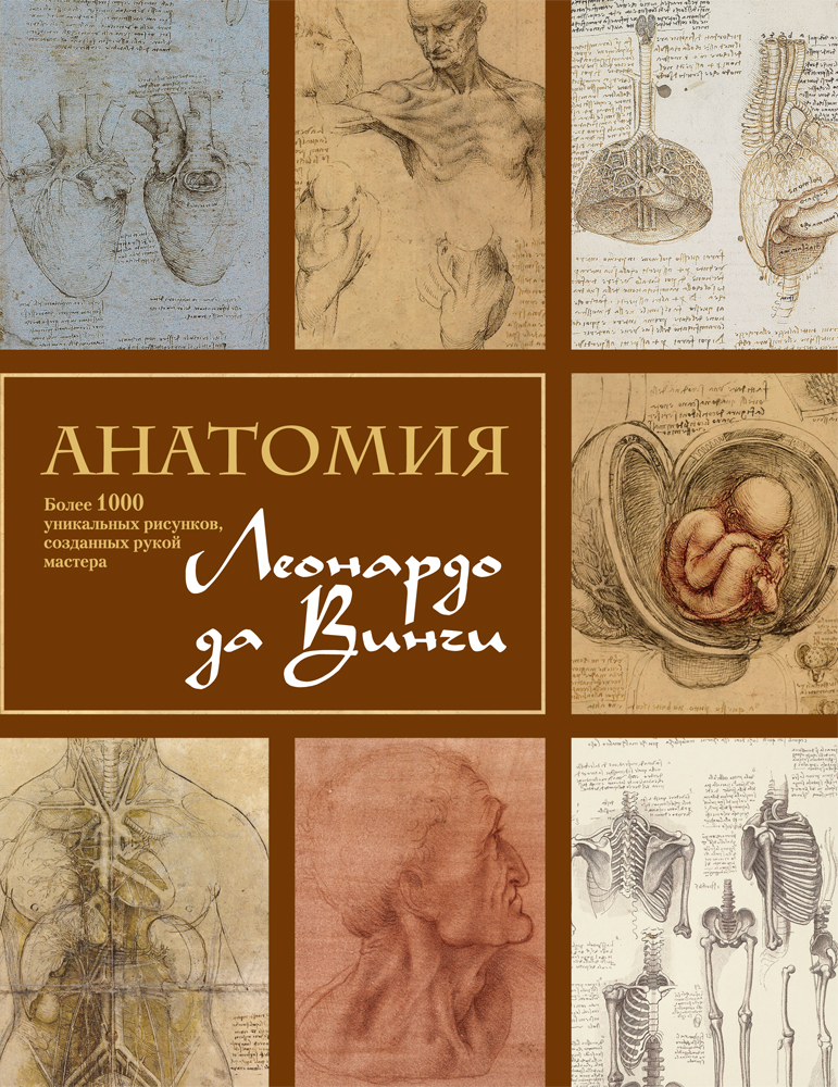 Анатомия брака книга с картинками