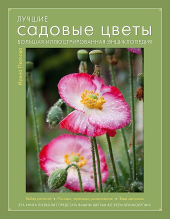Лучшие садовые цветы. Большая иллюстрированная энциклопедия (Книга для цветовода) Лучшие садовые цветы. Большая иллюстрированная энциклопедия (Книга для цветовода) Пескова И.