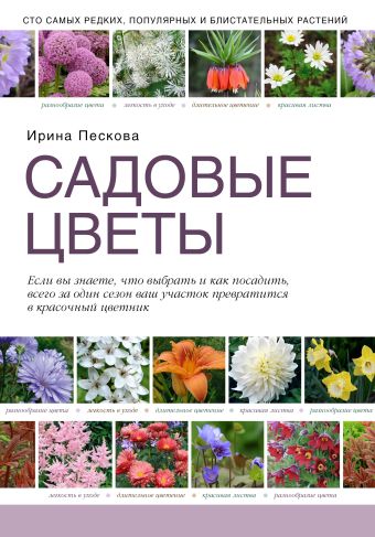 Садовые цветы Садовые цветы Пескова И.