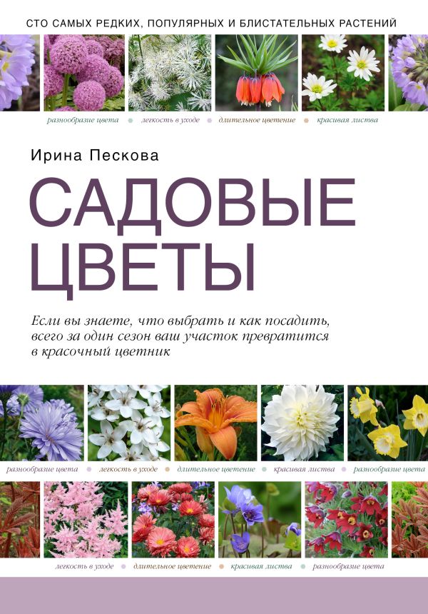Садовые цветы Садовые цветы Пескова И.