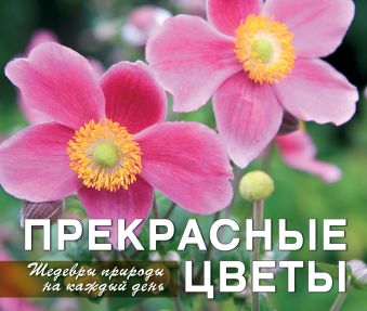 

Прекрасные цветы. Шедевры природы на каждый день