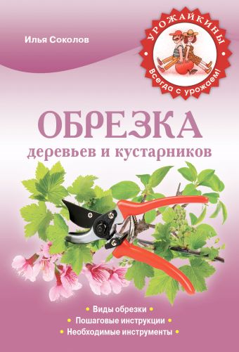 Обрезка деревьев и кустарников Обрезка деревьев и кустарников Соколов И.И.