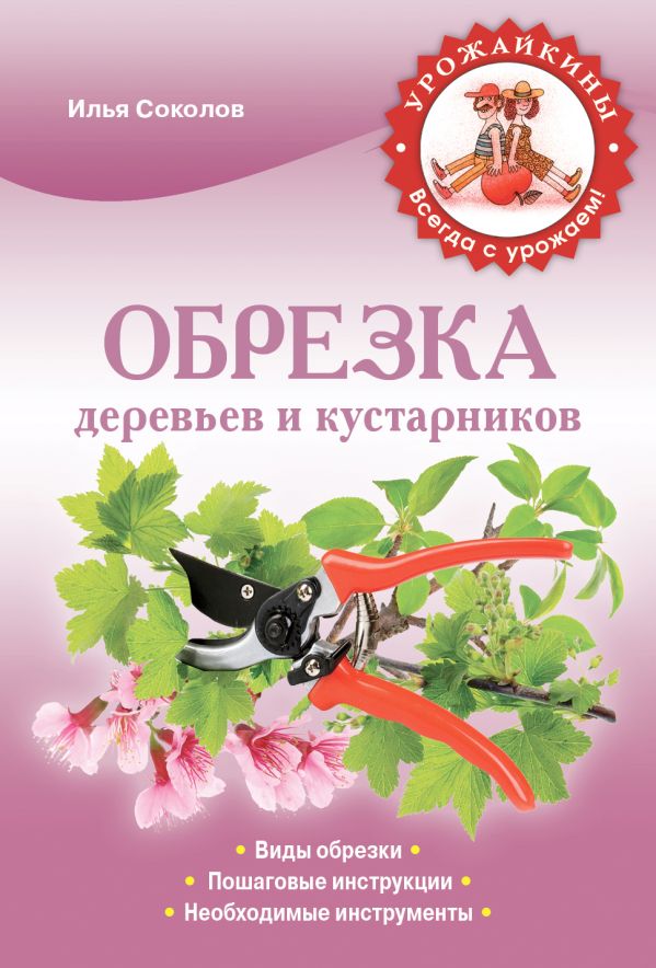 Обрезка деревьев и кустарников Обрезка деревьев и кустарников Соколов И.И.