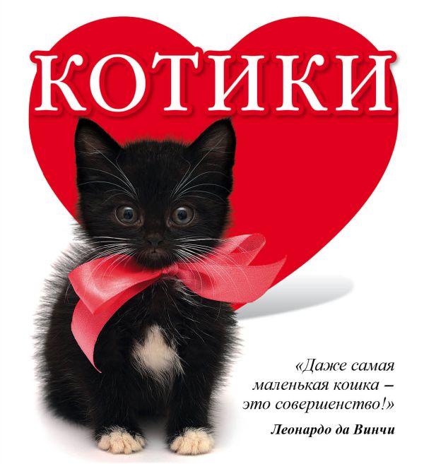 

Котики