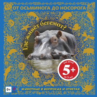 5+ Где живет бегемот? Животные в вопросах и ответах 5+ Где живет бегемот? Животные в вопросах и ответах