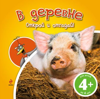 4+ В деревне (книга с клапанами) 4+ В деревне (книга с клапанами)