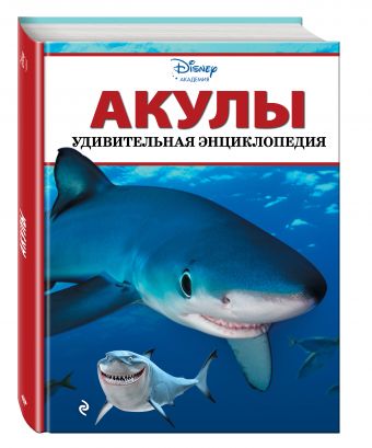 Акулы Акулы