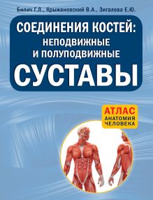 Соединения костей: неподвижные и полуподвижные суставы