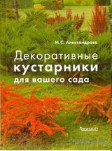 Декоративные кустарники для вашего сада