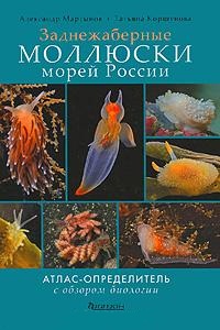 Атлас-определитель Моллюски морей России.
