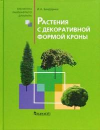 Растения с декоративной формой кроны