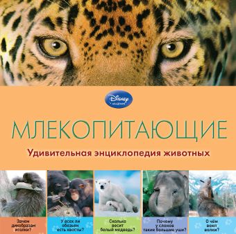 

Млекопитающие
