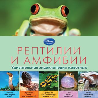 Рептилии и амфибии моя первая книга фактов рептилии и амфибии