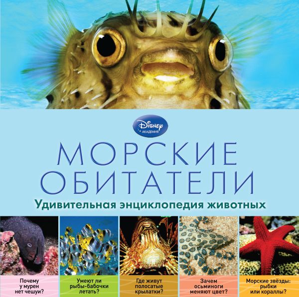 Морские обитатели Морские обитатели