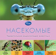 Насекомые