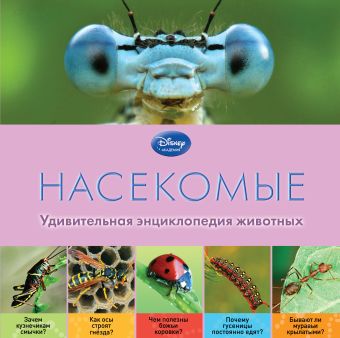 Насекомые Насекомые