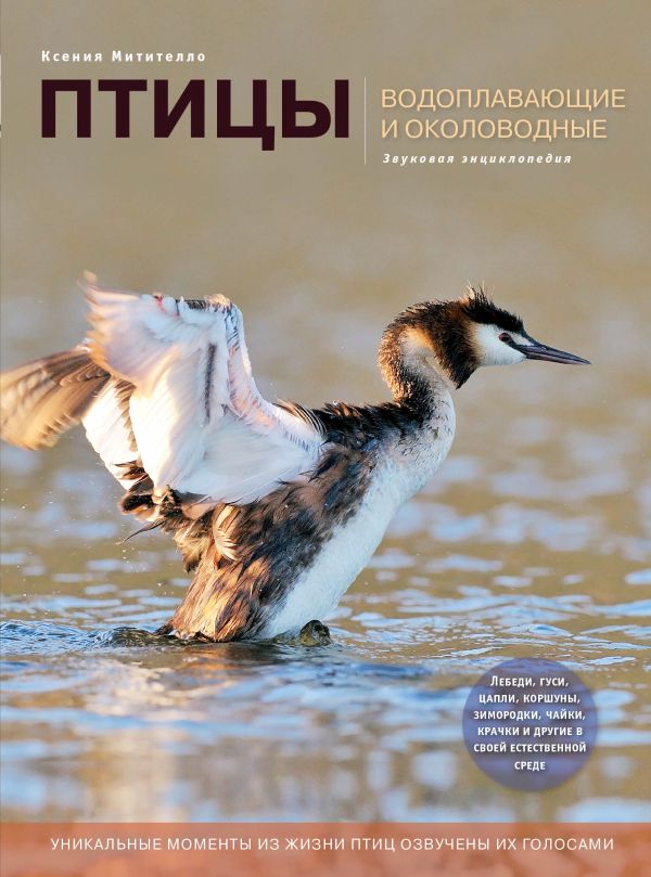

Птицы. Водоплавающие и околоводные (с музыкальным модулем) [поганка] (Подарочные издания. Энциклопедии животных)
