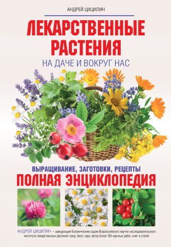 Цицилин Андрей Николаевич Лекарственные растения на даче и вокруг нас маланкина е цицилин а лекарственные и эфирномасличные растения учебник