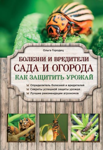 Болезни и вредители сада и огорода. Как защитить урожай Болезни и вредители сада и огорода. Как защитить урожай Городец О.В.