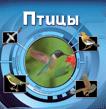 Птицы (3D) Птицы (3D)