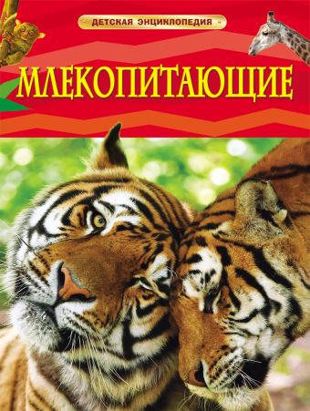 Млекопитающие. Детская энциклопедия Млекопитающие. Детская энциклопедия