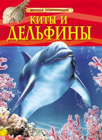 Киты и дельфины. Детская энциклопедия Киты и дельфины. Детская энциклопедия
