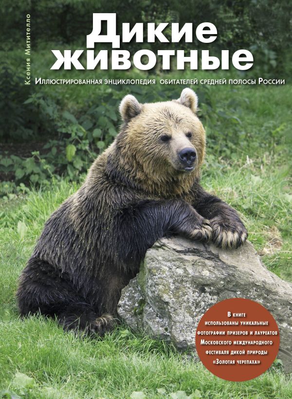 Дикие животные: Иллюстрированная энциклопедия обитателей средней полосы России Дикие животные: Иллюстрированная энциклопедия обитателей средней полосы России Митителло К.Б.