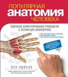 Популярная анатомия человека. Подробное иллюстрированное руководство с тестами для самоконтроля