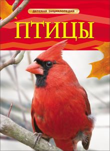 Птицы. Детская энциклопедия