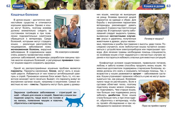 Zakazat.ru: Кошки (ДЭР). Широнина Е. В.