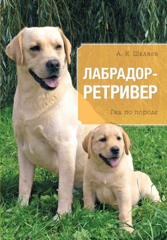 Лабрадор. Ретривер Лабрадор. Ретривер Шкляев А.Н.