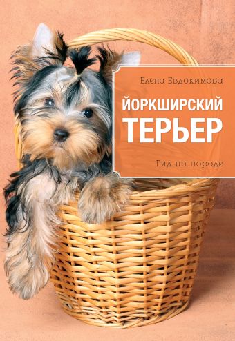 Йоркширский терьер Йоркширский терьер Евдокимова Е.С.