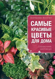 Самые красивые цветы для вашего дома