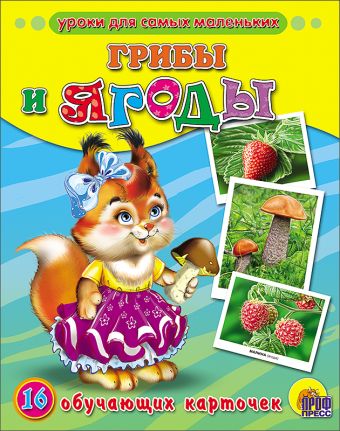 Грибы и ягоды Грибы и ягоды