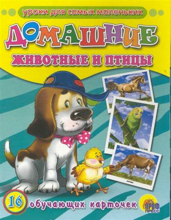 Домашние животные и птицы Домашние животные и птицы