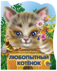 Любопытный котенок
