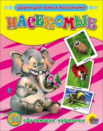 Насекомые Насекомые