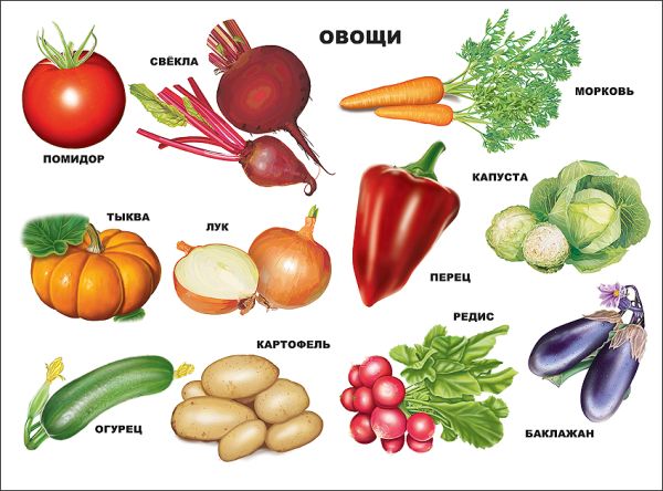 Овощи Овощи