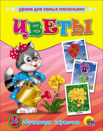 Цветы Цветы