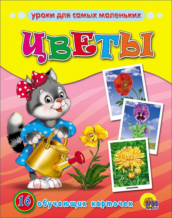 Цветы Цветы