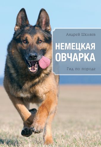 Немецкая овчарка Немецкая овчарка Шкляев А.Н.